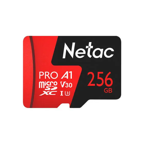 NETAC P500 Extreme Pro, 256GB, Memory Card