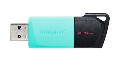 Kingston DTXM/256GB, USB3.2 Gen 1, Black + green