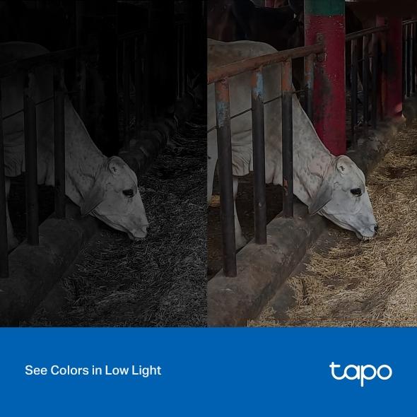 TP-Lin Tapo C320WS