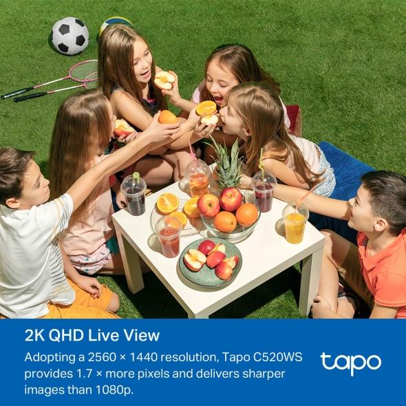 TP-Link Tapo C520WS