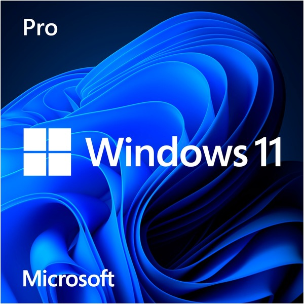 FQC-10528 Microsoft Windows 11 Pro 64Bit Eng Intl 1pk DSP OEI DVD/VERSION 22H2
